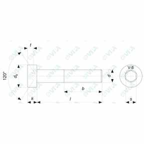 hex socket thin head cap screws