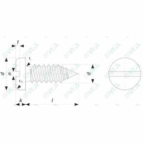 Viti autofilettanti a testa cilindrica con intaglio