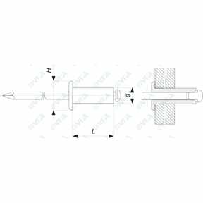 Rivetti standard a testa extra larga